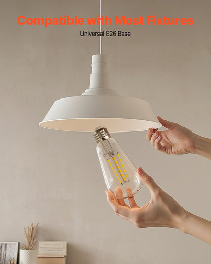 6 Pack Edison Bulbs LED ST19 7W Dimmable 800 Lumens 2700K E26 Antique,Dimmable LED Bulbs